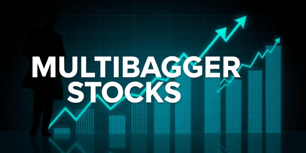 What Makes a Multibagger Stock?