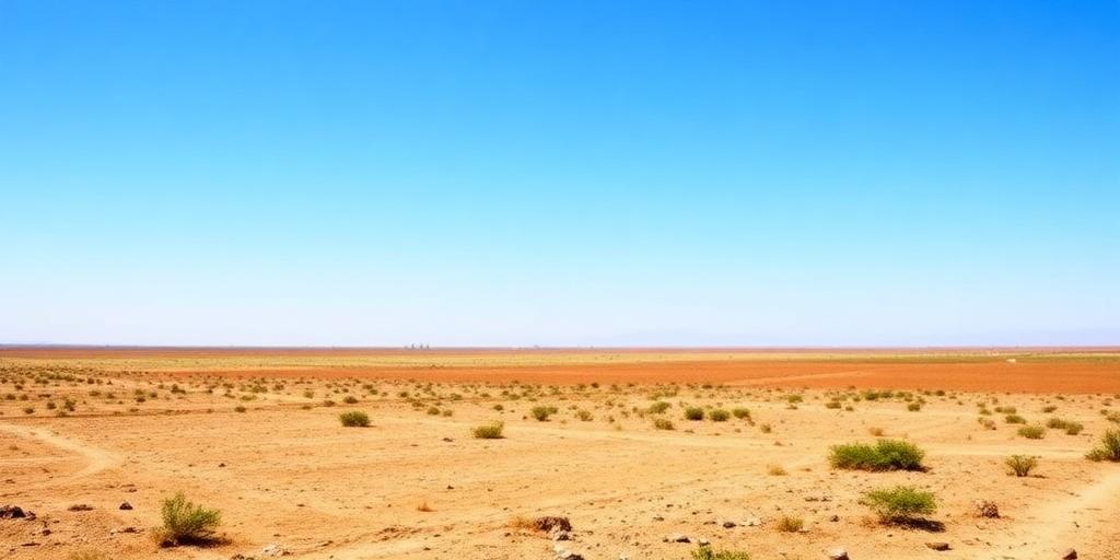 Land Investment 101: Things No One Tells You
